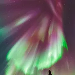 Luxury In The Heart Of Reine, Lofoten 度假居 雷讷
