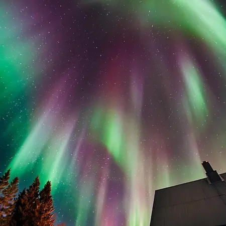 Luxury In The Heart Of Reine, Lofoten * 雷讷