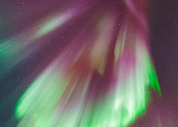 Luxury In The Heart Of Reine, Lofoten Tatil Evi Reine